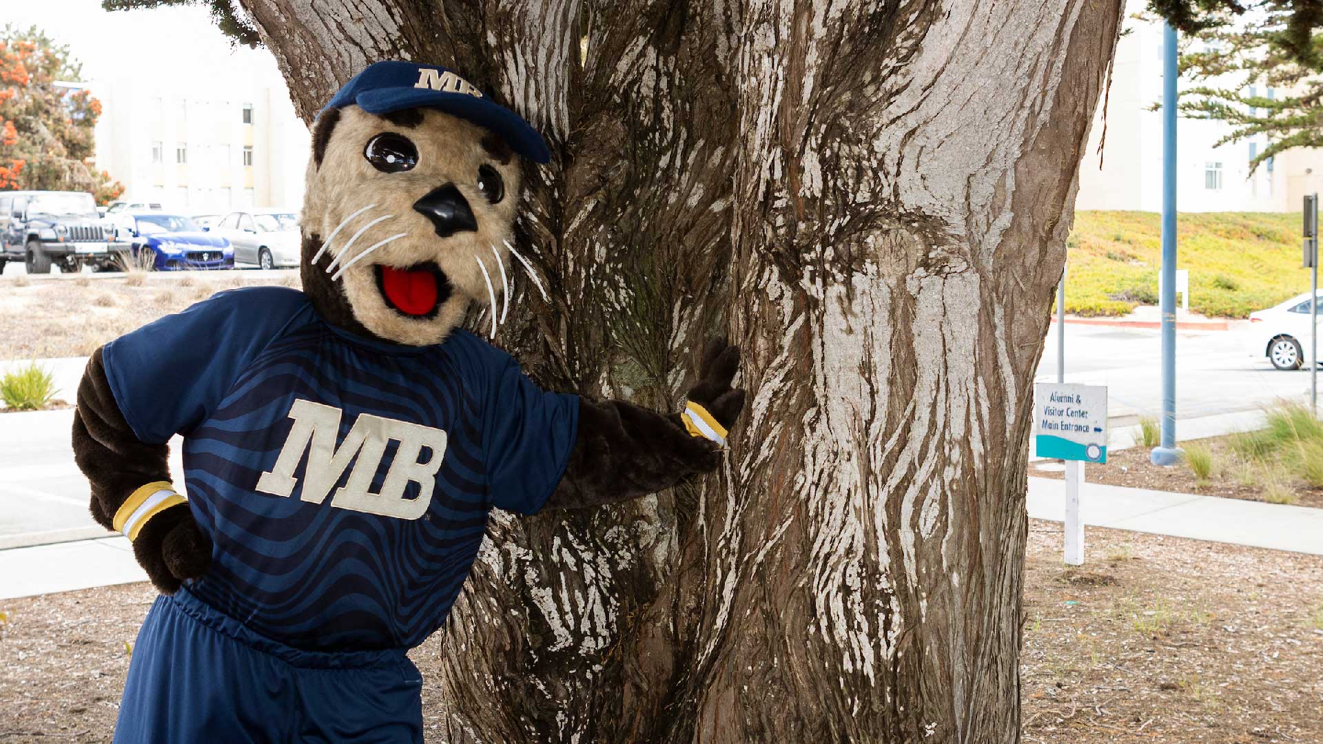 Mascot, Monte Ray by a tree in Main Quad