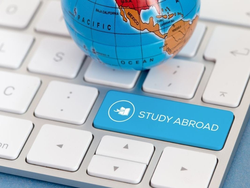 Study Abroad online