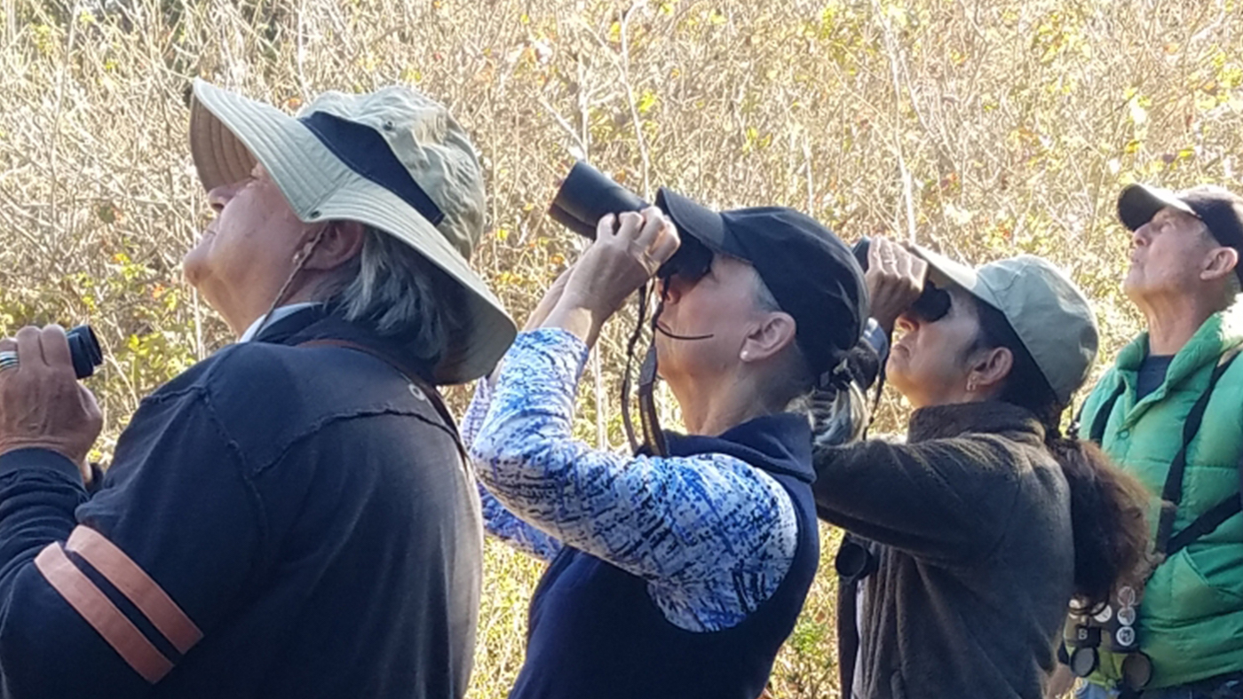 OLLI students bird watching