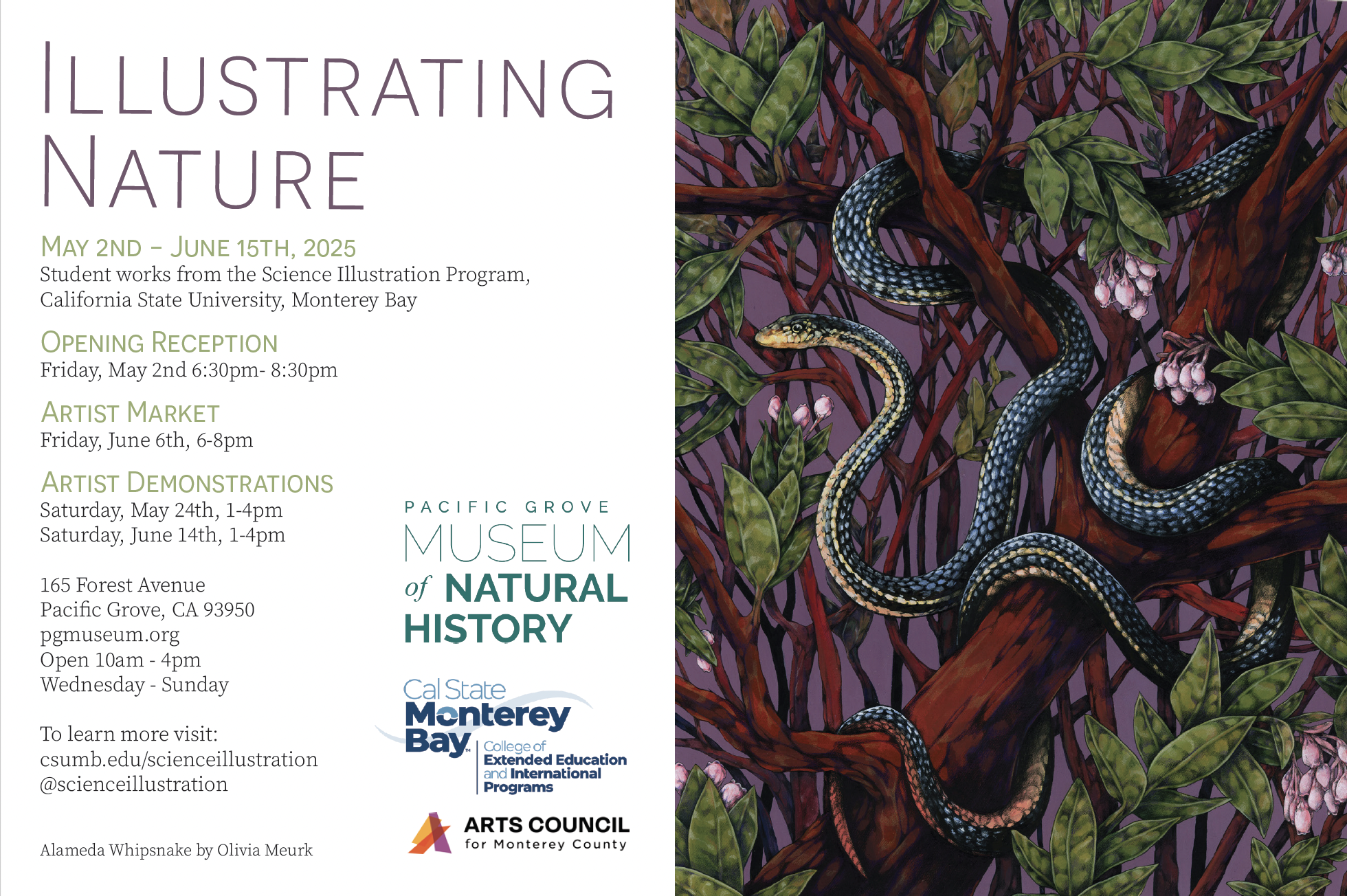 Illustrating Nature 2025