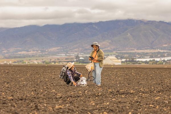 Two students in an agriculture field testing soil