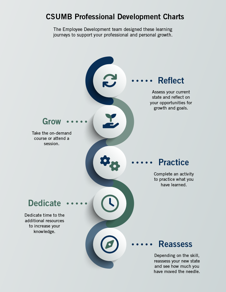 infographic - professional development chart