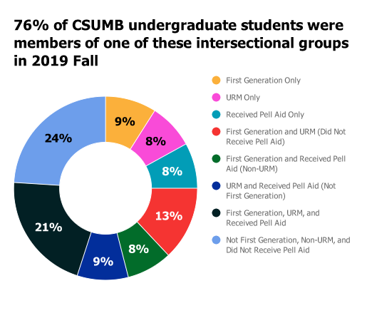 2019 Fall undergraduate enrollment by intersectional groups. See narrative.