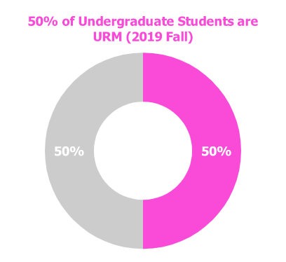 50% of undergraduate students are URM (2019 Fall)
