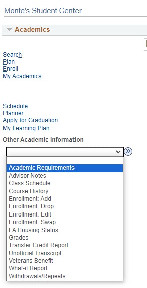 Screenshot of the dropdown menu showing Academic Requirements