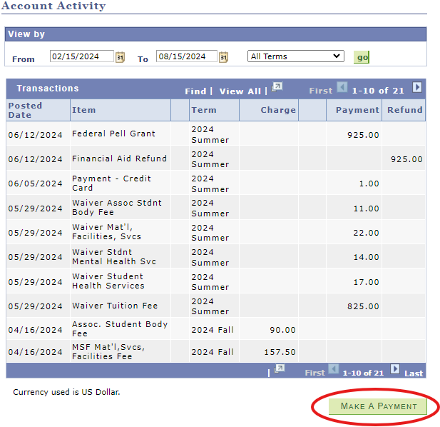 View of Account Activity screen in OASIS with the Make a Payment button circled