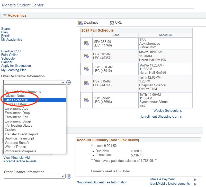 Screenshot of the Academics Section in OASIS with Class Schedule circled