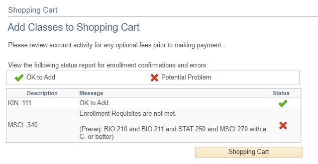 Screenshot of validated shopping cart