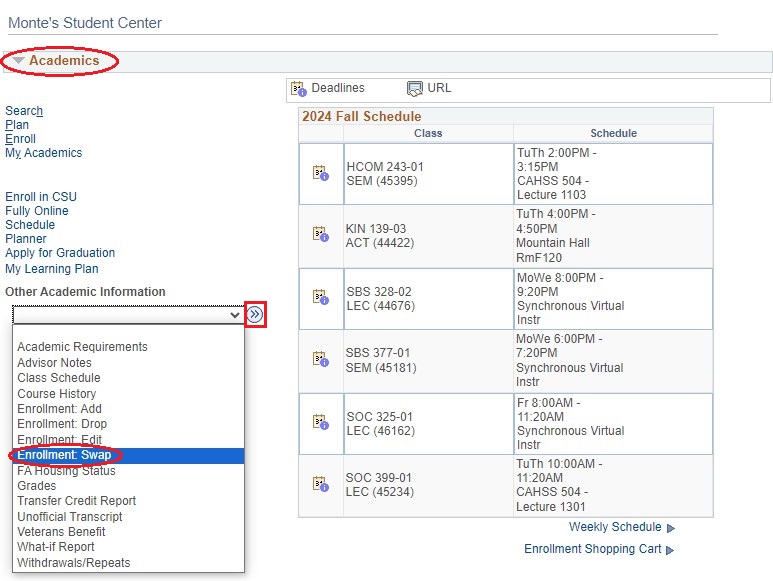 Screenshot of the Academics section of the Student Center in OASIS