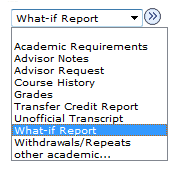 What if Report