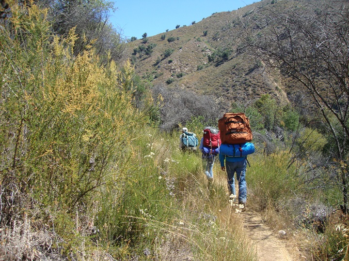 Students backpacking on a trail