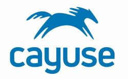 the word cayuse in blue with a horse drawing jumping over it