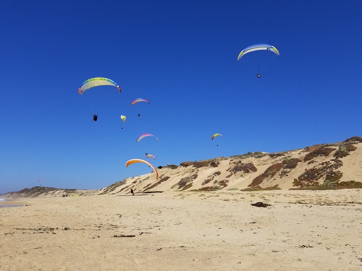 Many gliders next to the dunes