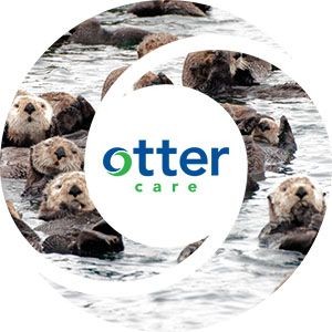 Image of otters in the sea rafting. Words: 