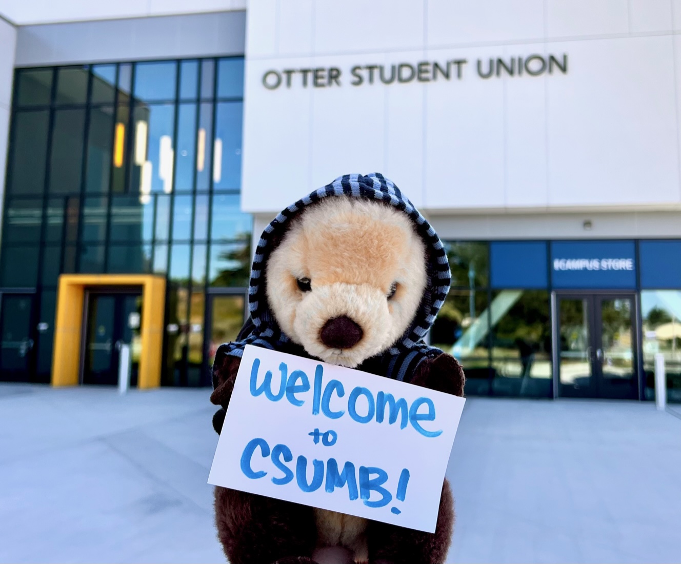 Stuffed animals are necessary – The Campus