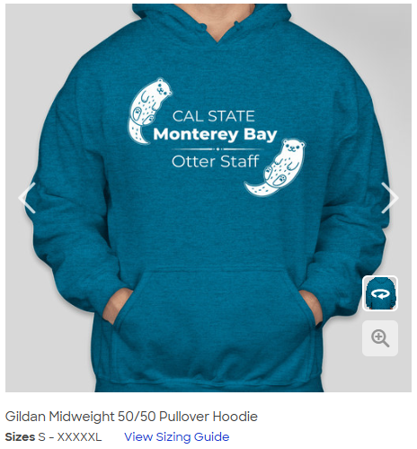 hoodie for staff council fundraiser decorative image