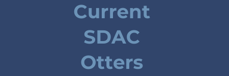 Current SDAC Otters click for Accommodation Information