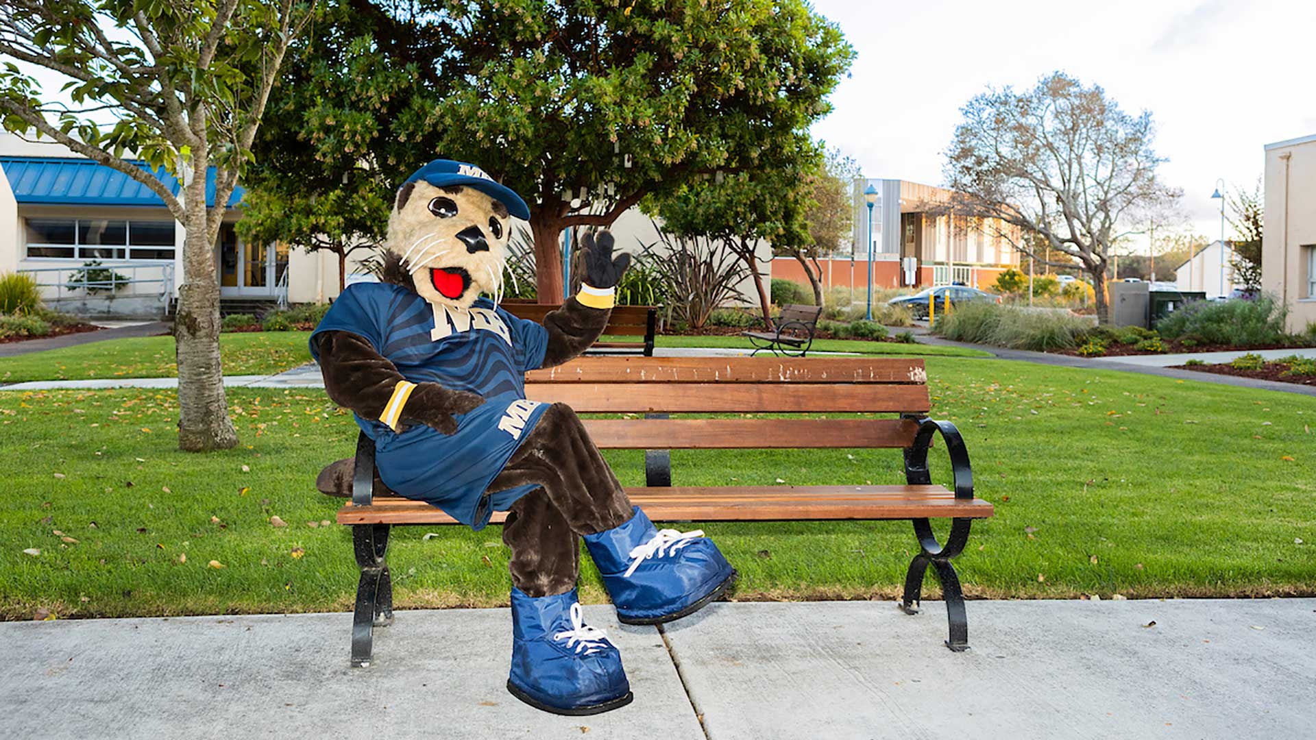 CSUMB Mascot Monte waving on bench