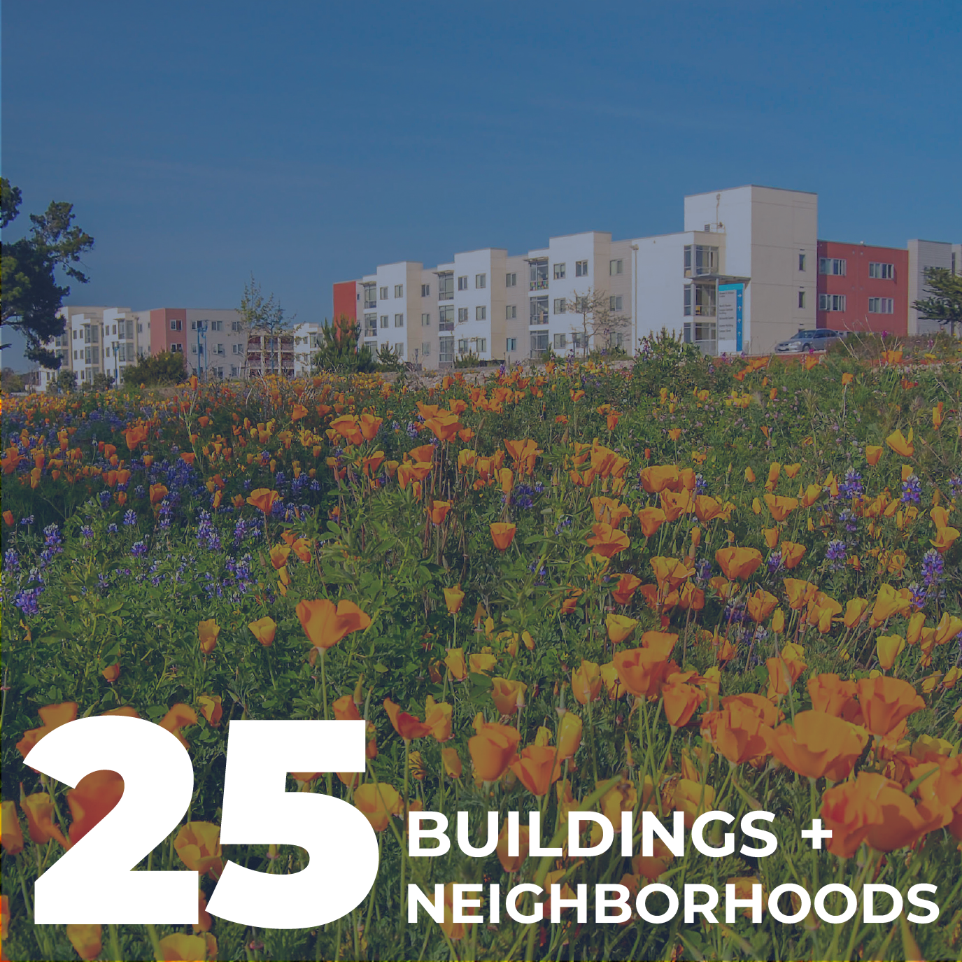 25 buildings and neighborhoods