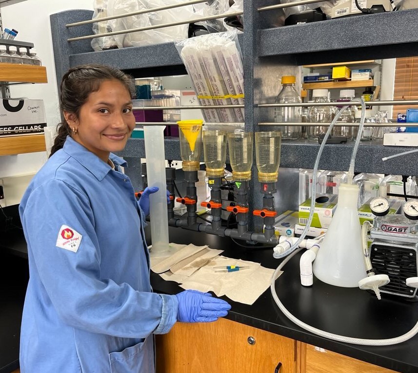 a student working in a wet lab