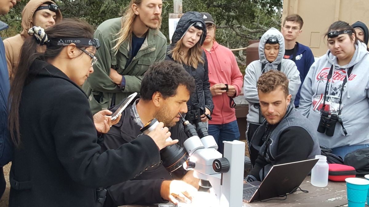 Dr. Bergsma with 2018 CCARE students reviewing field research protocols.