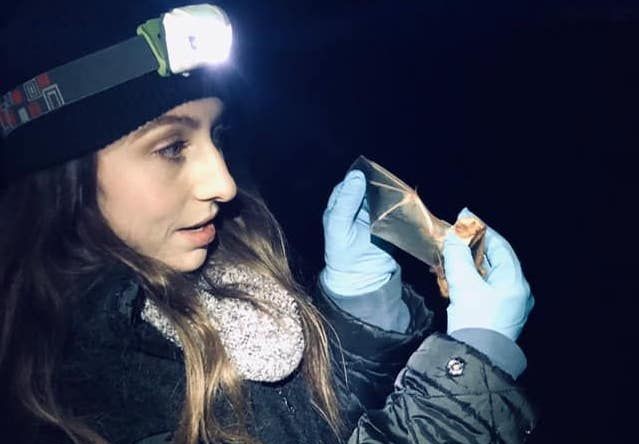 Hannah Carrell examining a California bat
