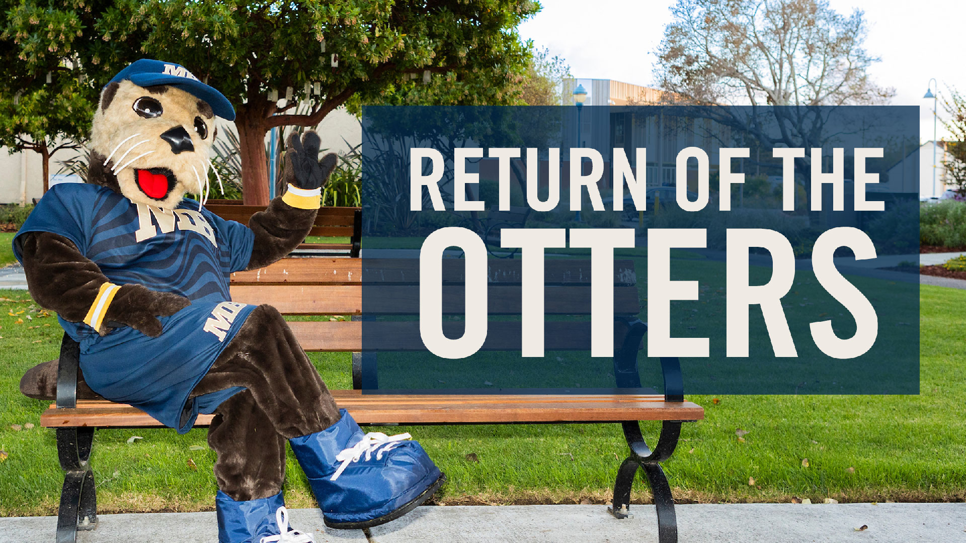 Return of the Otters