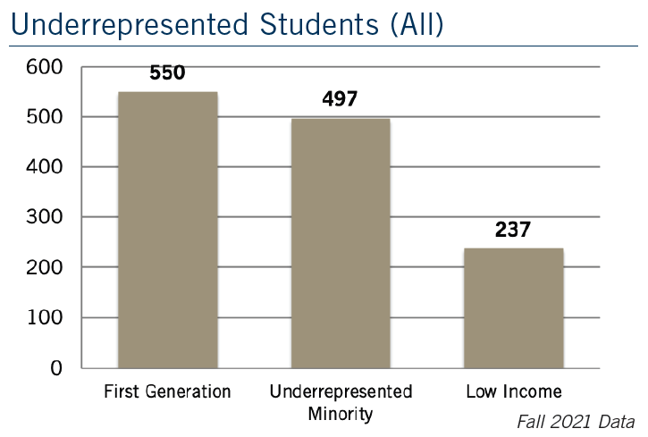 COB Underrepresented Students Graph 2021 - 550 first gen, 497 underrepresented minority, 237 low income