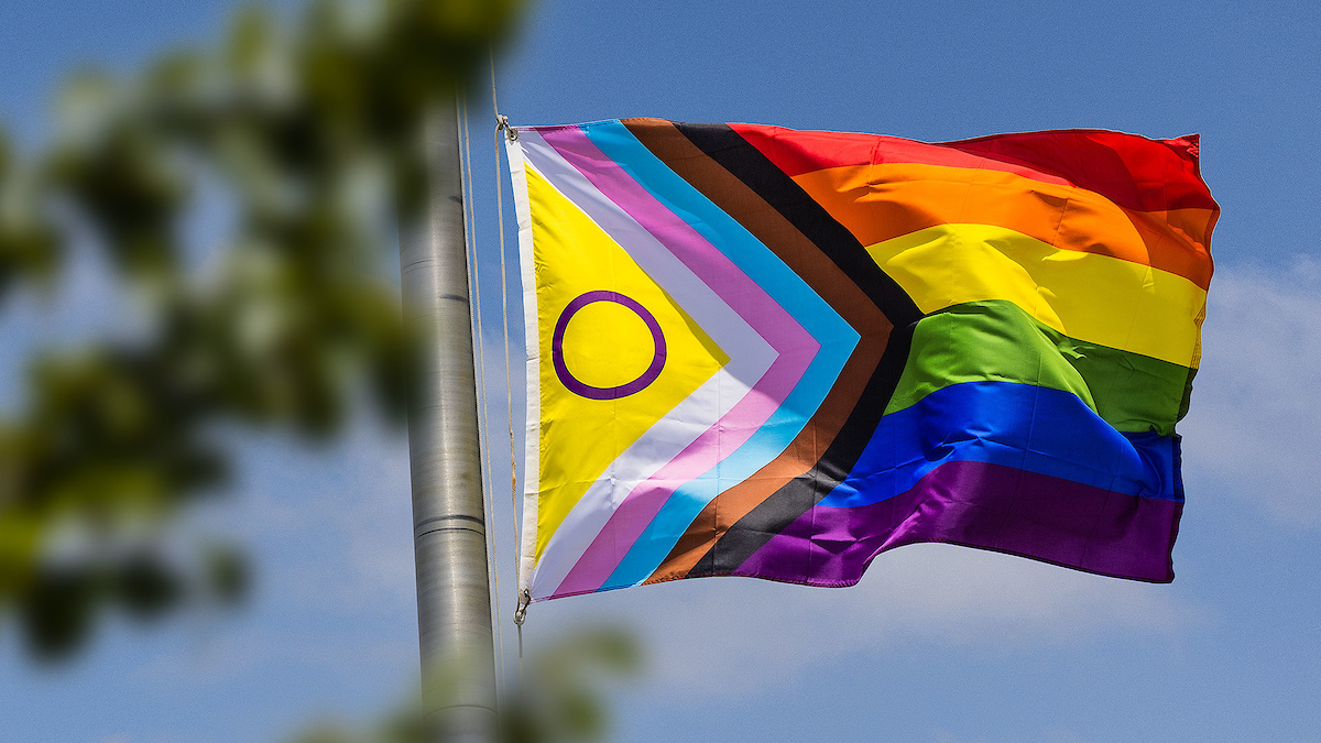 The intersex Pride flag on CSUMB's main flagpole.