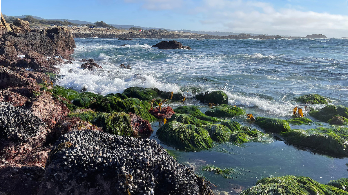 Monterey Bay National Marine Sanctuary