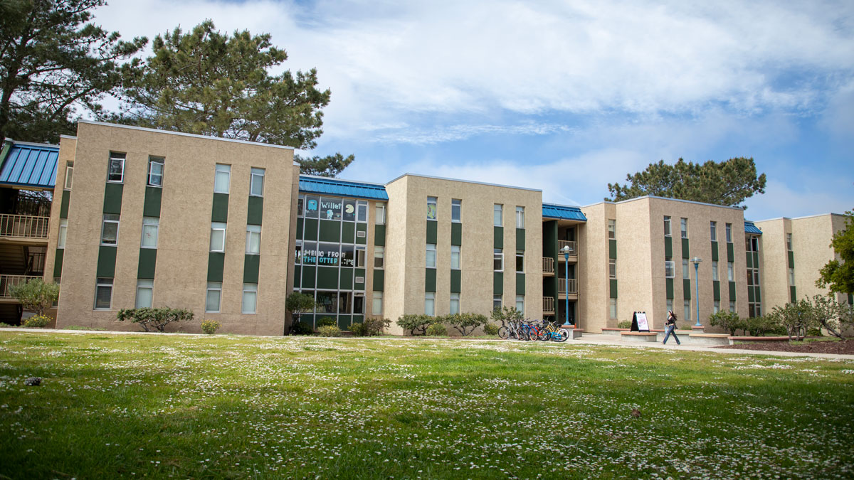 Exterior of Willett Hall with daises blooming on the grass in front of the building and a student walking.