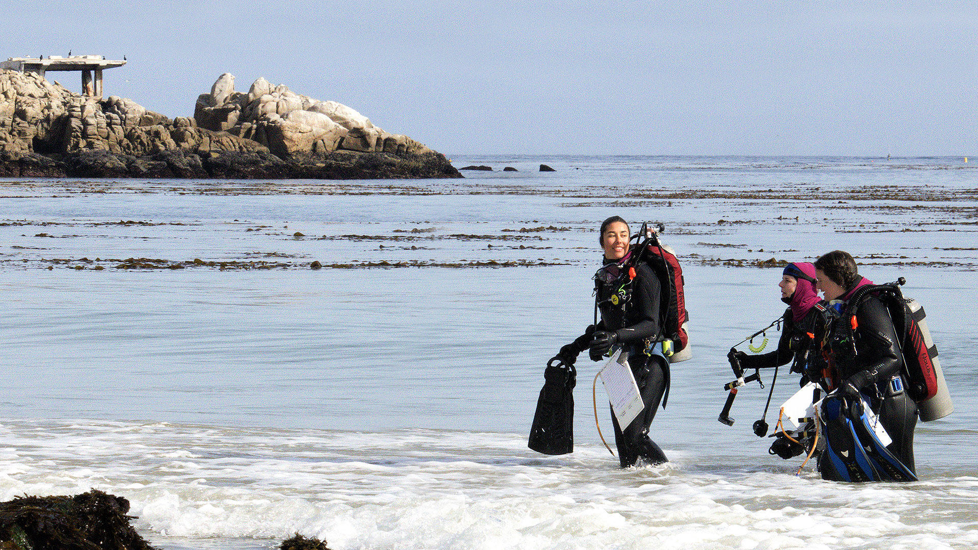 Student divers emerge from Monterey Bay after working on a scientific study.